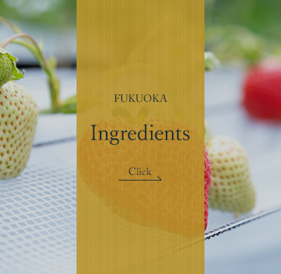 Fukuoka Stories_Ingredients