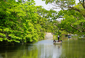 Yanagawa River Cruise